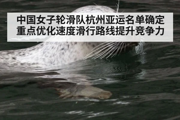 中国女子轮滑队杭州亚运名单确定 重点优化速度滑行路线提升竞争力